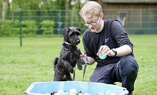Terriermischling Frodo, hier mit Pfleger Philipp Kruse, hat ein überschäumendes Temperament und offenbar ein Faible für Bällchen. - Peter Unger