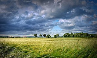 Es soll windig werden am Montag. - (Symbolbild): Pixabay