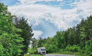 Auf einem Parkplatz in Bielefeld entdeckte der Lkw-Fahrer einen Karton mit lebendigem Inhalt. - Sabine/Pixabay