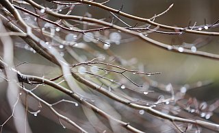 Am Freitag ist es in OWL bereits bewölkt, für das Wochenende sagt der DWD Regen voraus. - dpa