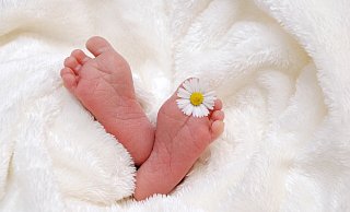 Das St.-Ansgar-Krankenhaus in Höxter hat die Geburten der Woche bekanntgegeben. - Pixabay (Symbolfoto)