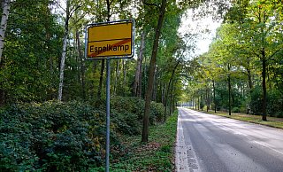 Die Espelkamper Straße Gabelhorst stadtauswärts. Links steht der Wald, der für den Neubau eines Krankenhauses weichen müsste. - Heike von Schulz