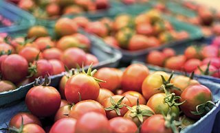 Der Markt in Schildesche wird laut den Händlern von einigen tausend Bürgern besucht. - Pixabay
