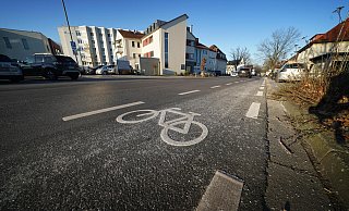 Piktogramme auf der Brunnenallee sollen kenntlich machen, dass Fahrräder auf der Straße fahren. - Gerald Dunkel