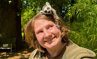 Hat Zutrauen gefasst: das Kattakind auf dem Kopf seiner Pflegerin Frauke Niehaus. - Hannchen Fenna Kloppert/Tierpark Ströhen