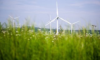 In NRW wurde von Januar bis September 234 neue Anlagen genehmigt. - Julian Stratenschulte