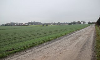 Diese Gegend, die hauptsächlich aus Feldern und Wiesen besteht, ist im Entwurf für den Regionaplan als potenzielles Siedlungsgebiet ausgewiesen. - JAN-HENRIK GERDENER