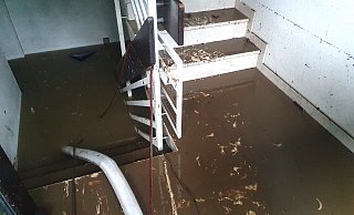 Die Feuerwehr in Höxter rechnet damit, dass trotz sinkender Pegel weitere Keller voll laufen werden. - Thomas Kube