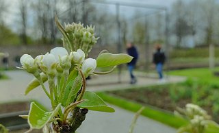 Die Landesgartenschau in Höxter erfasst jeden Tag, wie viele Besucherinnen und Besucher sich auf dem Gelände befinden. - Symbolbild: Svenja Ludwig