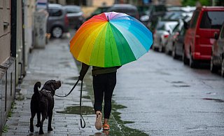 Sommer adé – hallo Herbst: Eine Frau geht bei strömenden Regen mit ihrem Hund und einem bunten Regenschirm spazieren. - Peter Kneffel