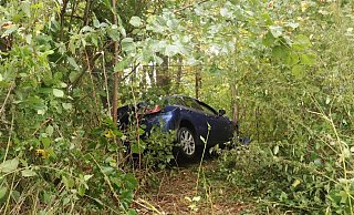 Zwischen Bäumen feststeckend versuchte der Fahrer trotzdem weiter zu fahren. - Polizei Höxter