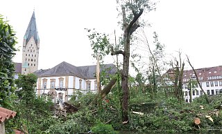 Der verwüstete Geißelsche Garten an der Stadtbibliothek am Tag nach dem Tornado. - Holger Kosbab