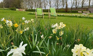 Blumenvielfalt und Erholung in einem hatte die Landesgartenschau mit den Beeten und Liegestühlen zu bieten. - LGS Höxter
