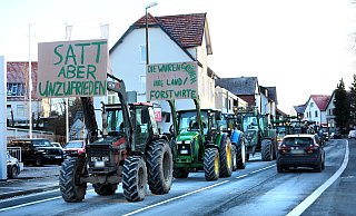 "Satt aber unzufrieden" zeigt sich dieser Landwirt. Der nächste sieht sich als der "wahre Grüne". - Frank-Michael Kiel-Steinkamp
