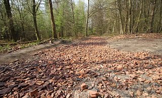 Diese Ziegelreste im Köckerwald haben Anwohner irritiert. Es gibt jedoch eine Genehmigung des Umweltamtes. - Sylvia Tetmeyer