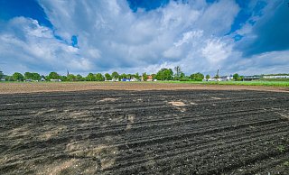 Die Fläche an der Gütersloher Straße (oben) und nahe der A33 (r.), auf der Christinen-Brunnen bauen möchte, wird heute intensiv landwirtschaftlich genutzt. - Andreas Zobe