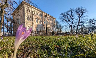 Räume im Prinzenpalais in Bad Lippspringe können nun von allen Vereinen, die im Vereinsregister der Stadt gemeldet sind, kostenfrei genutzt werden. - Fynn Müller