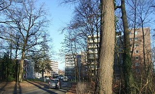 In einem dieser Hochhäuser ereignete sich der Unglücksfall. - (Archivbild): Karsten Schulz
