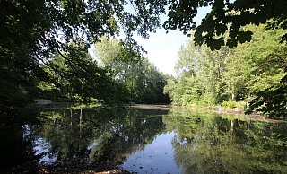 Der Buttersee in Herfords Nordstadt soll eingezäunt werden. - Susanne Barth