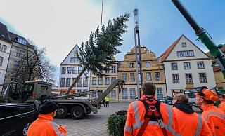 Der Weihnachtsmarkt auf dem Alten Markt ist zehn Meter hoch. - Andreas Zobe