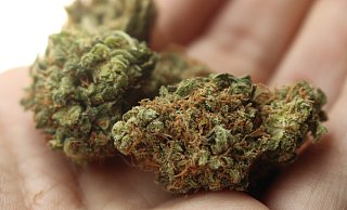 226 Gramm Marihuana fanden Polizeibeamte bei dem 24-Jährigen. - Themenfoto: Pixabay
