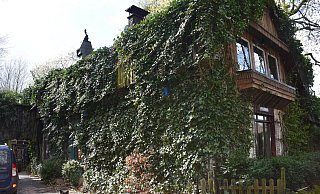 Fast ein wenig verwunschen wirkt das in großen Teilen bewachsene Gebäude. Zu seinen Bewohnern zählt auch Hund Limpi. Er heißt so, weil er humpelt, sagen seine Besitzer. - Dirk Haunhorst