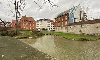 Auch im Bereich der Dielenpader plant die Stadt eine Anpflanzung einer großen Zelkova, ein Ulmengewächs, im Hochbeet (hinten) an der Hathumarstraße und am Kardinal-Degenhardt-Platz. Hier waren ebenfalls Bäume vom Tornado 2022 betroffen. - Marc Schröder