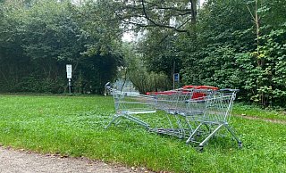 Der Zugang zum Verler See (hinten) von der Grillenstraße ist eigentlich idyllisch – wenn dort nicht die Einkaufswagen stehen würden. - Markus Voss