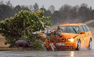 Frontalaufprall Sau, 80km/hDiese Aufnahme des ADAC zeigt einen Frontalaufprall auf einen Wildschwein-Dummy bei 80 Stundenkilometern. - ADAC/Uwe Rattay