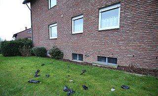 Unbekannte werfen die Beutel über mehrere Wochen auf den Rasen vor und hinter dem Haus. - Gerald Dunkel