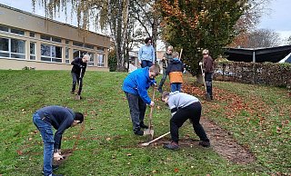 Ein Logo aus Frühblühern gestalten die Schüler der Gesamtschule Brakel. - Gesamtschule Brakel