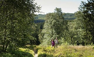 Der Wanderweg Blaubeerroute bietet besonders im Sommer ein faszinierendes Naturerlebnis nahe der Externsteine. - Teutoburger-Wald-Tourismus, Andreas Hub