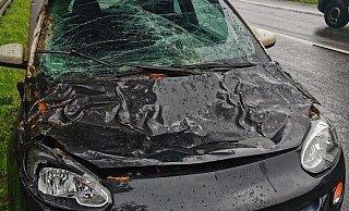 Motorhaube und Windschutzscheibe haben einiges abbekommen. Aber auch um das Innenleben des Motorraums ist es nicht mehr gut bestellt. - Lena Lutze