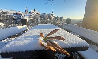 Vielleicht sieht es ja zu Weihnachten in OWL wieder so weiß aus wie am vergangenen Wochenende in Warburg. - Simone Flörke