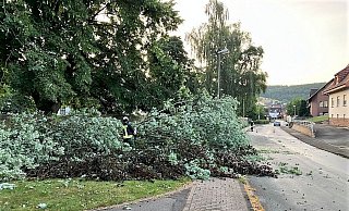 An der Mühlenstraße Ecke Kreisstraße in Brenkhausen musste am Montagabend wegen eines Sturms ein Baum gefällt werden. - Feuerwehr Höxter