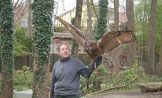 Die junge Eule ist auf dem Arm von Falknerin Laura Dodt gelandet. - Ingrun Waschneck