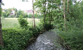 Der Bereich hinter dem Lustgarten ist für die Renaturierung vorgesehen. Eigentümerin des Geländes ist die NRW-Stiftung. - Johannes Büttner