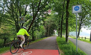 Auf der Fahrradstraße am Elsedamm kommen Radfahrer zügig und sicher voran. - Sven Hauhart