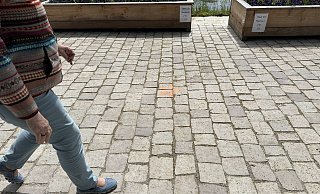 Orangefarbene Spur: Die Blüten entlang der Weserpromenade - rechts der Brücke - führen Besucherinnen und Besucher laut LGS vom Parkplatz kleine Pause bis zum Haupteingang Weserpromenade. - Ralf T. Mischer