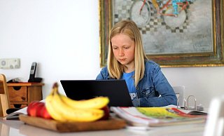 Das Homeschooling verlangt Schülerinnen und Schülern einiges ab. Viele Eltern beschreiben es als "reines Chaos". - Pixabay