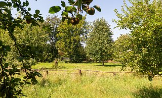 Blick vom Steinsieksbach nach Westen: Hier möchte ein Anlieger gerne bauen. Die Stadt will ihm das wegen der Gefahr der Überflutung bei extremen Wetterbedingungen aber nicht erlauben. - Ralf Bittner