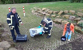 Dramatischer Einsatz für Feuerwehr und DRK. - Jörg Husemann/ DRK