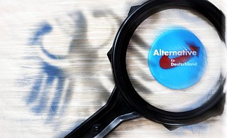 Die AfD wird vom Verfassungsschutz als rechtsextremistischer Verdachtsfall beobachtet. Das Treffen von AfD-Mitgliedern mit Neonazis hat die Diskussion um ein Verbotsverfahren gegen die Partei angeheizt. - imago images/Christian Ohde