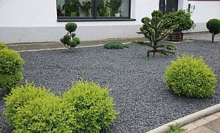 Ökologisch ist in geschotterten Vorgärten nicht viel zu holen. - Ivonne Michel