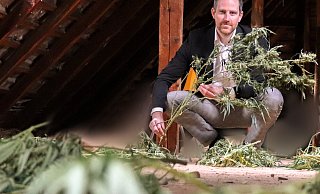 Solche Mengen Cannabis beschlagnahmt die Polizei Höxter nicht jeden Tag wie bei den Durchsuchungen in Steinheim-Vinsebeck und Willebadessen am Mittwoch. Das schaut sich dann auch der Kripo-Chef Daniel Vogel höchstpersönlich an. - Polizei Höxter