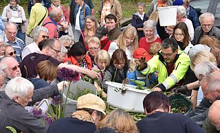 Ein großer Ansturm auf die kostenlosen Blumenzwiebeln. - Thomas Kube
