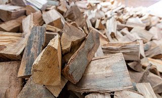 Mehrere Festmeter Buchenbrennholz erbeuteten die Täter. - Symbolfoto: Niklas Tüns