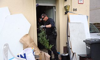 Die Bielefelder Polizei musste unzählige Marihuana-Pflanzen nach draußen tragen. - Charlotte Mahncke