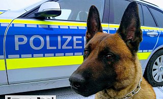 Ein 32-Jähriger versucht, einen Polizeibeamten anzugreifen - und bekommt es mit einem Polizeihund zu tun. - Symbolfoto: Polizei