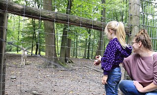 Wenn das Füttern sein muss, dann mit Dingen, die die Tiere im Damwildgehege nicht krank macht: Marie-Sophie (3) und Mama Jessica füttern die Tiere etwa mit selbst gesammelten Kastanien. - Dana Thoeren